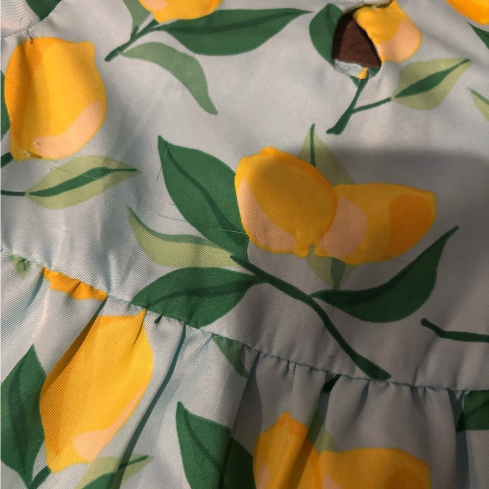 Janie and Jack Lemon Dress - Picture 9 of 9